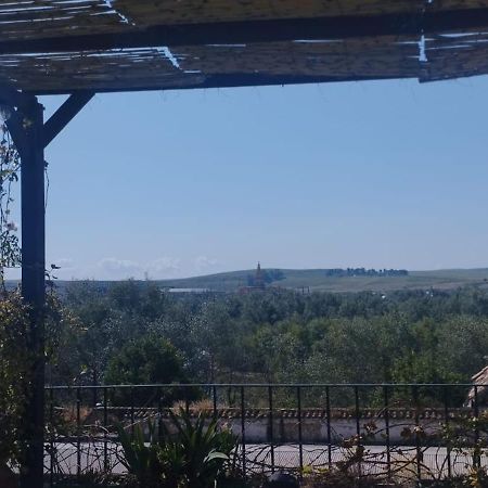 My Small Penthouse With Views.Tourism & Tranquility & Sun コルドバ エクステリア 写真